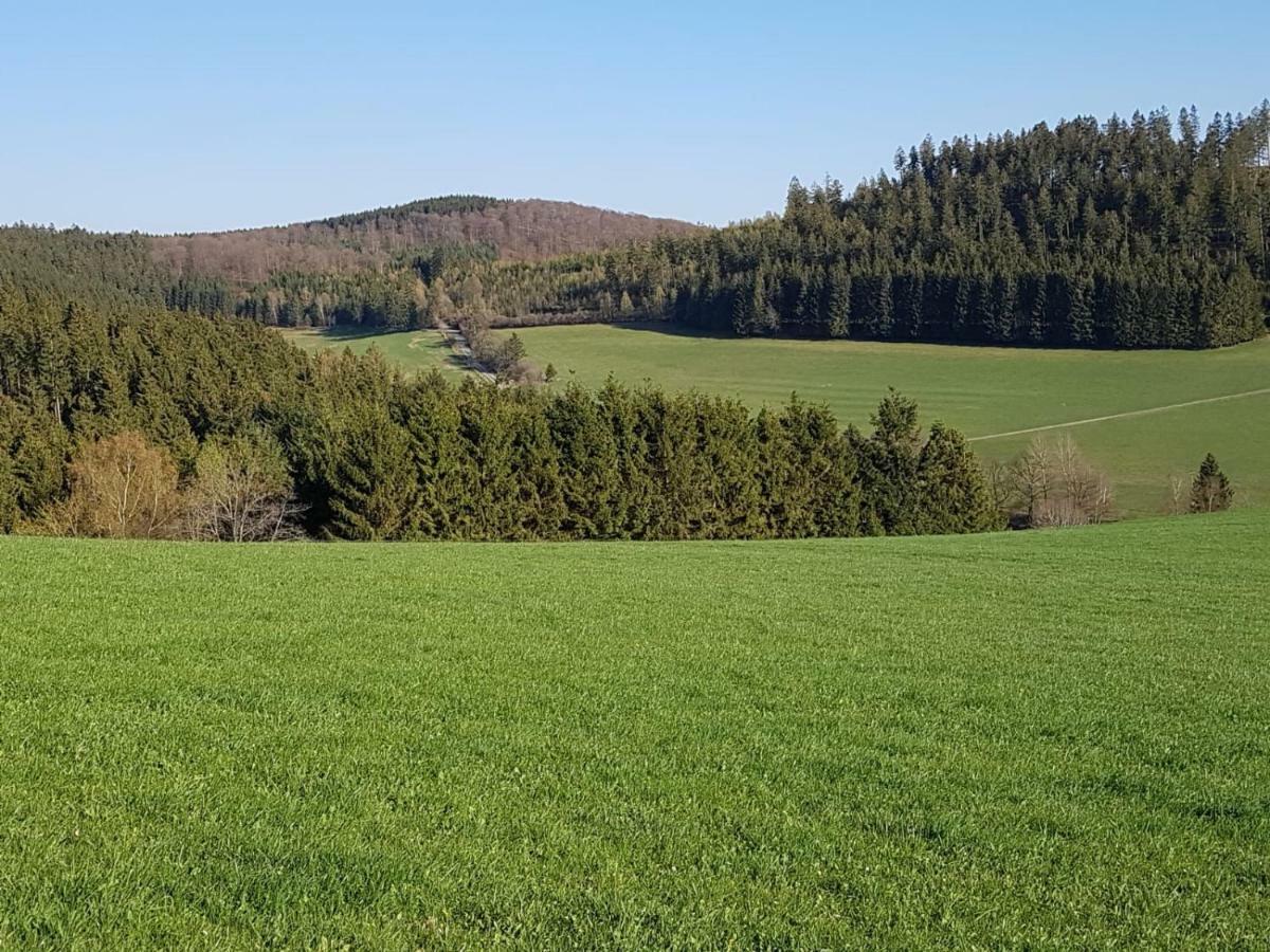 Ferienhaus "Am Gehre" Bad Berleburg Exterior photo